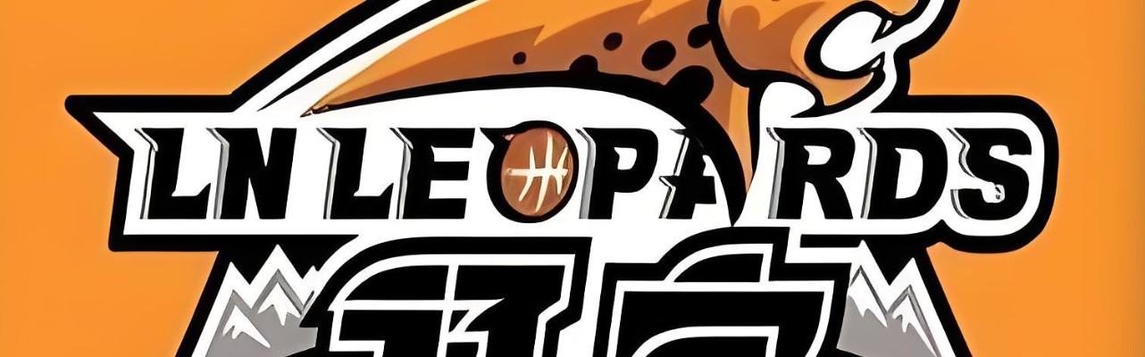 开云体育保障-从4连败到赢52分！就因为杨鸣下课？辽宁队给球迷留下4大疑惑